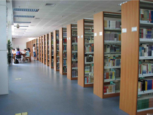 Зносостійка текстурована ПВХ підлога для бібліотеки